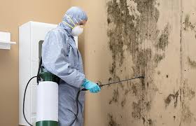 Best Water Damage & Mold Remediation  in Broxton, GA